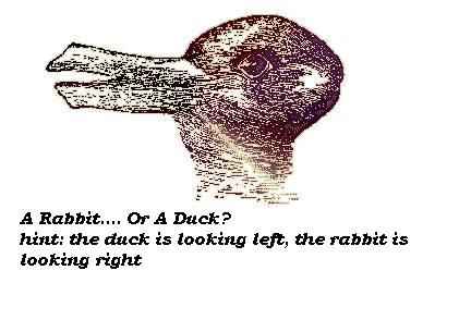 illusion_duck.jpg